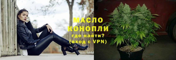 индика Вяземский