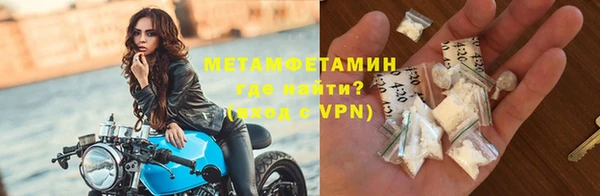 индика Вяземский