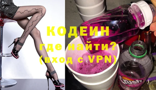 индика Вяземский