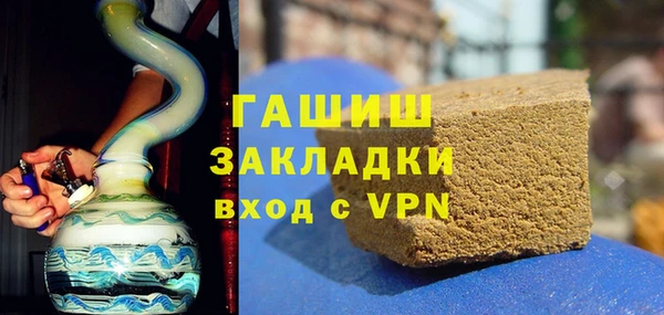индика Вяземский