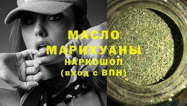 индика Вяземский