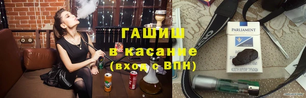 индика Вяземский