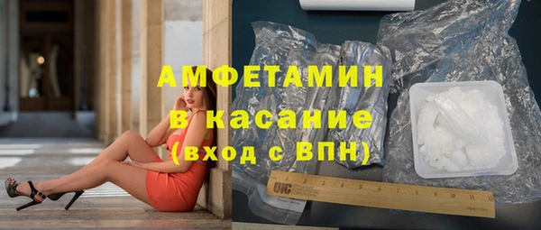 индика Вяземский