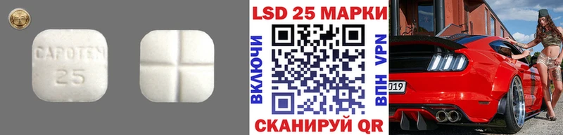 Купить  Бородино  Лсд 25 экстази кислота 