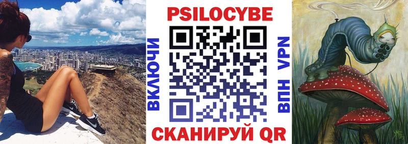Купить закладки  Бородино  Псилоцибиновые грибы Psilocybine cubensis 